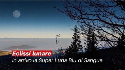 Eclissi Lunare- arriva la SuperLuna blu di sangue - Notizie.it