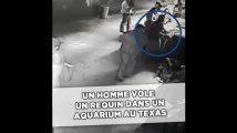 Un homme vole un requin dans un aquarium à San Antonio