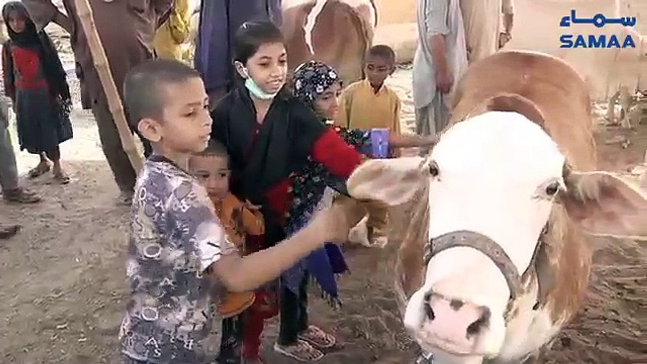 Bachon Ki Zidd Sub Ko Mandi Le Aayi