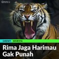 #1MENIT | Rima Jaga Harimau Gak Punah