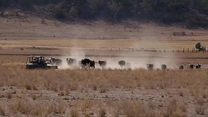 Aszály sújtja Ausztráliát