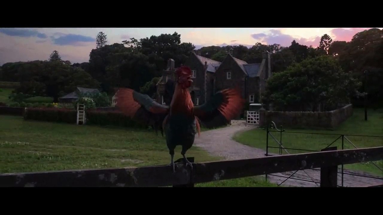 I can't Beleive It !!! What kind of Rooster is he?! LOL!