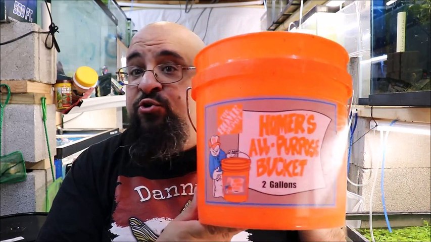 Day after Monday Tip #2 A small Home Depot Bucket in the Fish Room Aquarium Fish Room VLOG