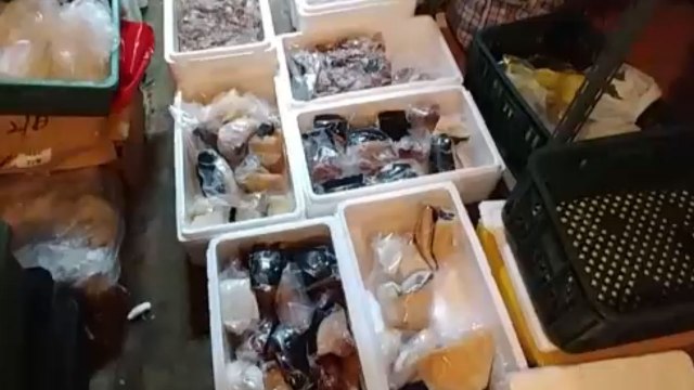 상어고기로 속여 일본에서 고래고기 밀반입 / YTN