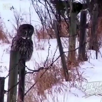 Это я с утра