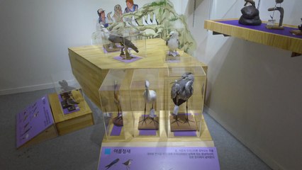 [대전·대덕] 국립중앙과학관, '독도 특별전' 개최 / YTN
