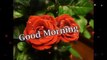 Good Morning Wishes with Flower image, Wallpaper, Picture ,E cards, Quotes ,Whatsaap Video