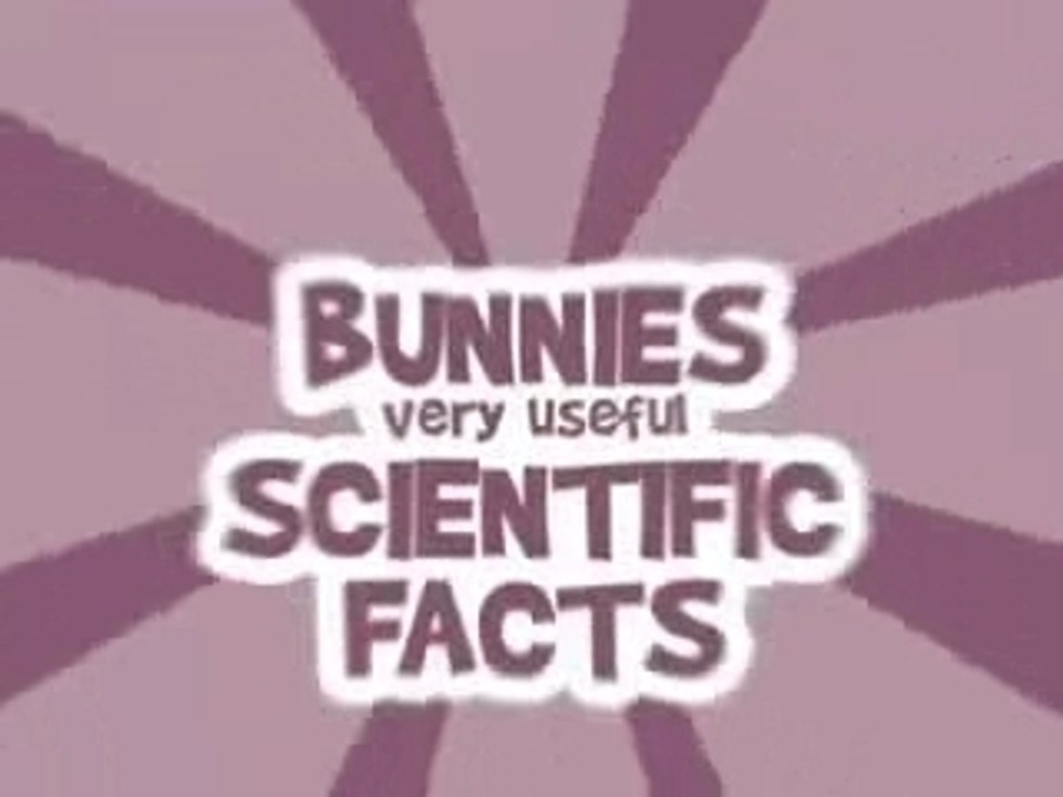 Les lapins crétins