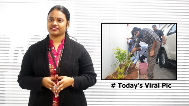 Todays's Viral Pic : Pawan Kalyan Haritha Haaram Pic Goes Viral