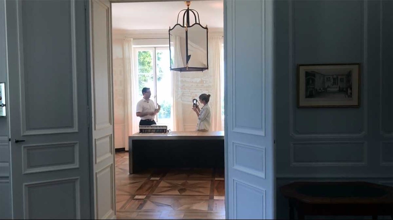 Vue d'ici : Le Château de Voltaire - 2ème partie
