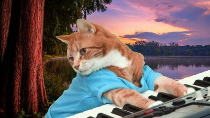 Приколы с котами и смешная озвучка животных – А ТЫ попробуй НЕ засмеяться! УГАР от PSO