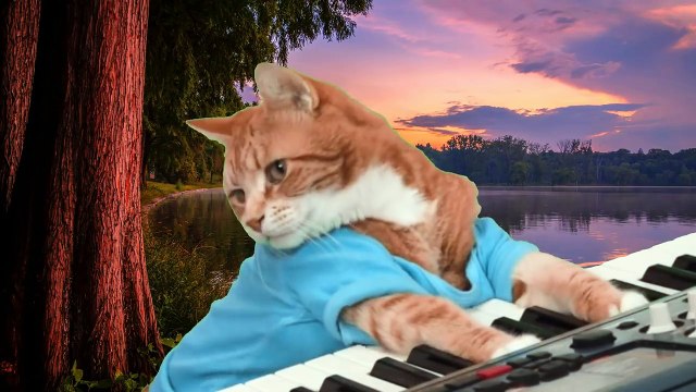 Приколы с котами и смешная озвучка животных – А ТЫ попробуй НЕ засмеяться! УГАР от PSO