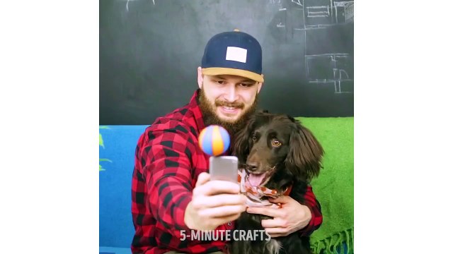 10 BRICOLAGES FACILES QUE TON ANIMAL VA ADORER