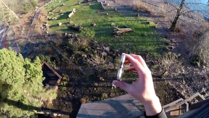 My Perfect iPhone 7 Plus Setup!