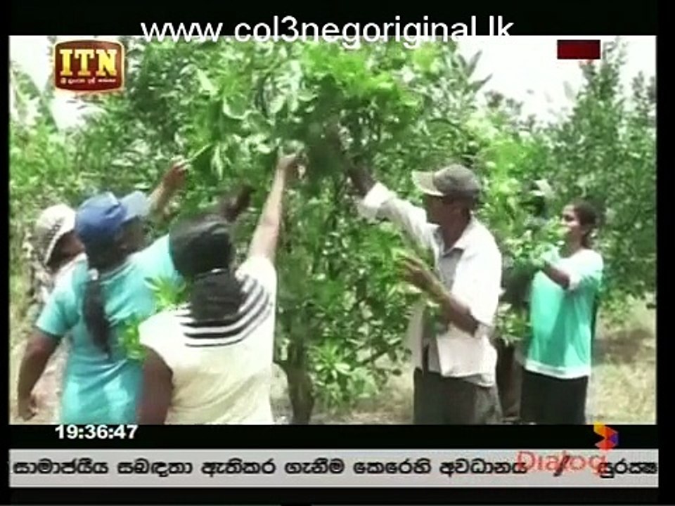 Atapattama 01-08-2018