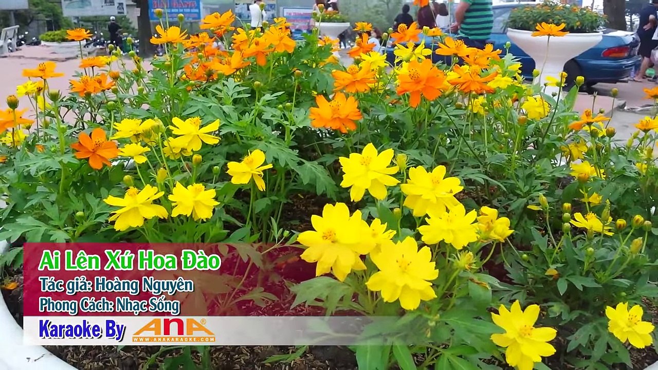 [KARAOKE ANA] AI LÊN XỨ HOA ĐÀO - NHẠC SỐNG - KARAOKE