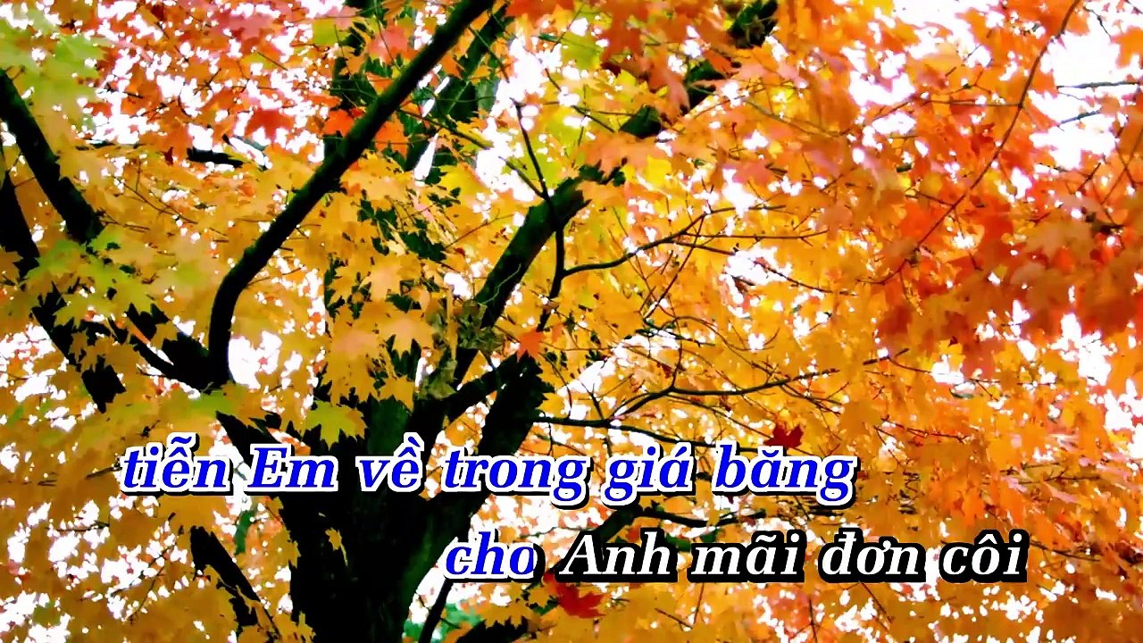 [KARAOKE ANA] 999 ĐÓA HỒNG -RUMBA- KARAOKE NHẠC SỐNG