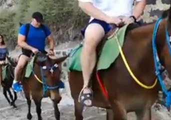 Santorini Donkey Owners Attack Animal Welfare Protesters