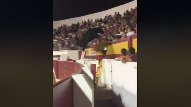 Une vachette saute dans les gradins des arènes (Vieux-Boucau)