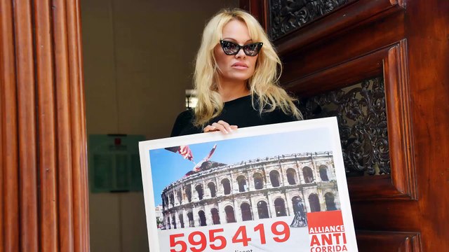 Pamela Anderson sexy : après DALS, découvrez son nouveau projet en France (Photo)