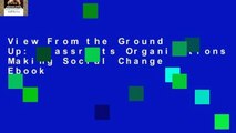 View From the Ground Up: Grassroots Organizations Making Social Change Ebook