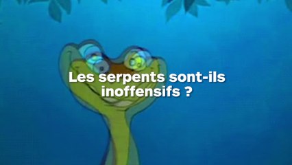 Un père filme sa fille avec leur énorme python !