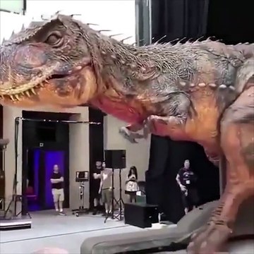 Что вы скажете на это?