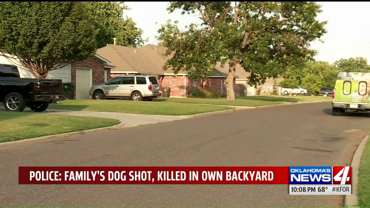 Neighbor Accused of Killing Family`s Dog in Their Backyard