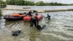 L’entraînement des chiens de sauvetage en mer