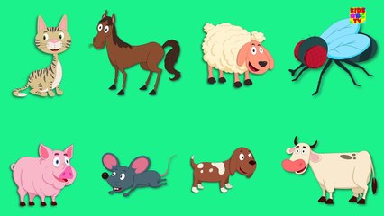 Animal Sound Song | Nursery Rhyme For Kids | Kids Song