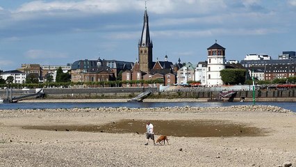 Hitzewelle in Deutschland und Dänemark: Trockenheit und Tropennächte sorgen für Abkühlung 💦