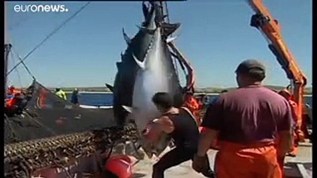 Жизнь взаймы