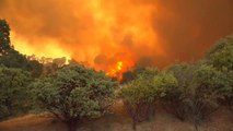 آتش در کالیفرنیا؛ آرام شدن وزش باد به آتش‌نشانان یاری می‌رساند