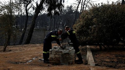 下载视频: Waldbrände in Griechenland: Sind illegal gebaute Häuser schuld an der Tragödie?