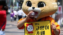 Recorde de calor na Coreia do Sul