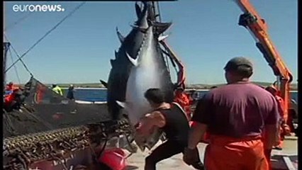 Ζούμε με «δανεικά» από τη Γη