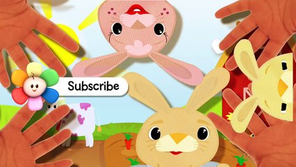 Finger Family Rhyme for Kids | Harry the Bunny | Family Finger Song & Video for Children | BabyFirst