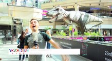 T-Rex Comes to Trinity