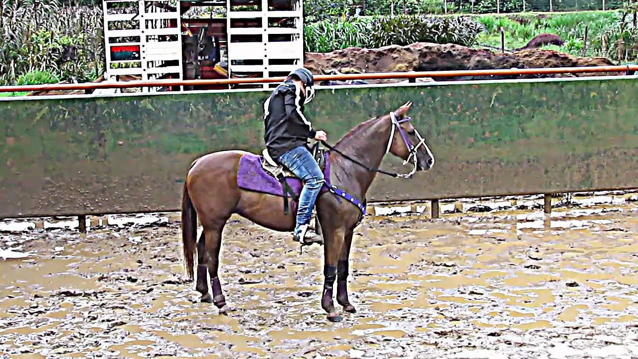 COPA COLAGUA 2018