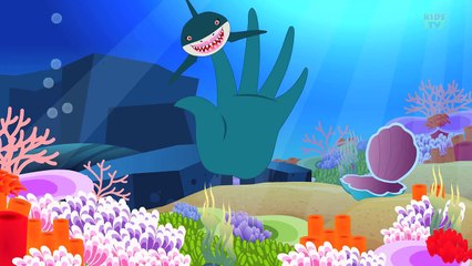Finger Family Shark | Fish Finger Family | Nursery Rhymes Kids Tv Nursery Rhymes