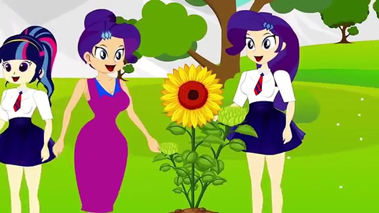 ✅Equestria Girls Kids School cheatting Makeup Contest In Class Animation Collection | Zilo