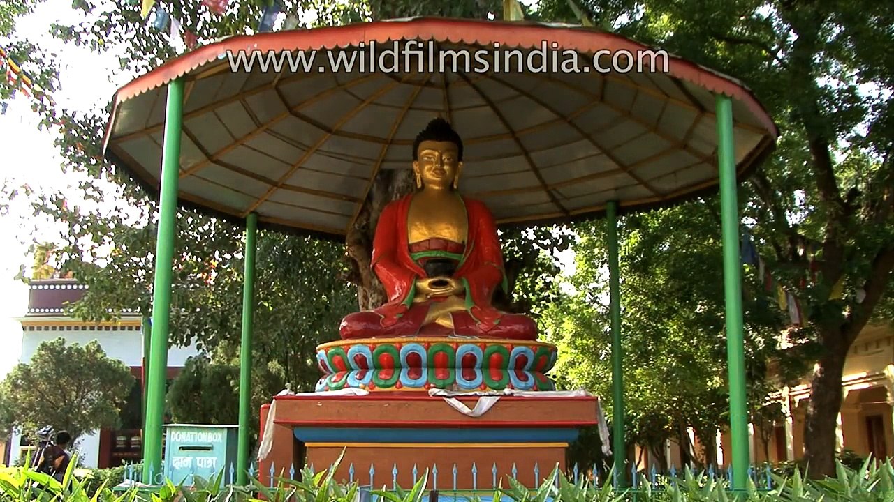 14 Beautiful Buddha Statues of South Asia