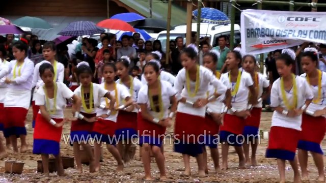Apatani Dree Festival of Arunachal Pradesh