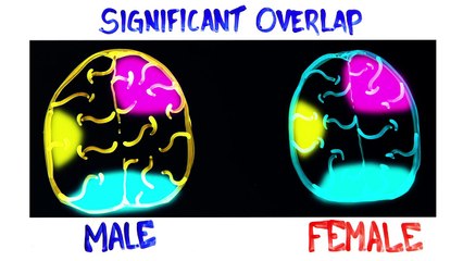 Are Boys Smarter Than Girls?