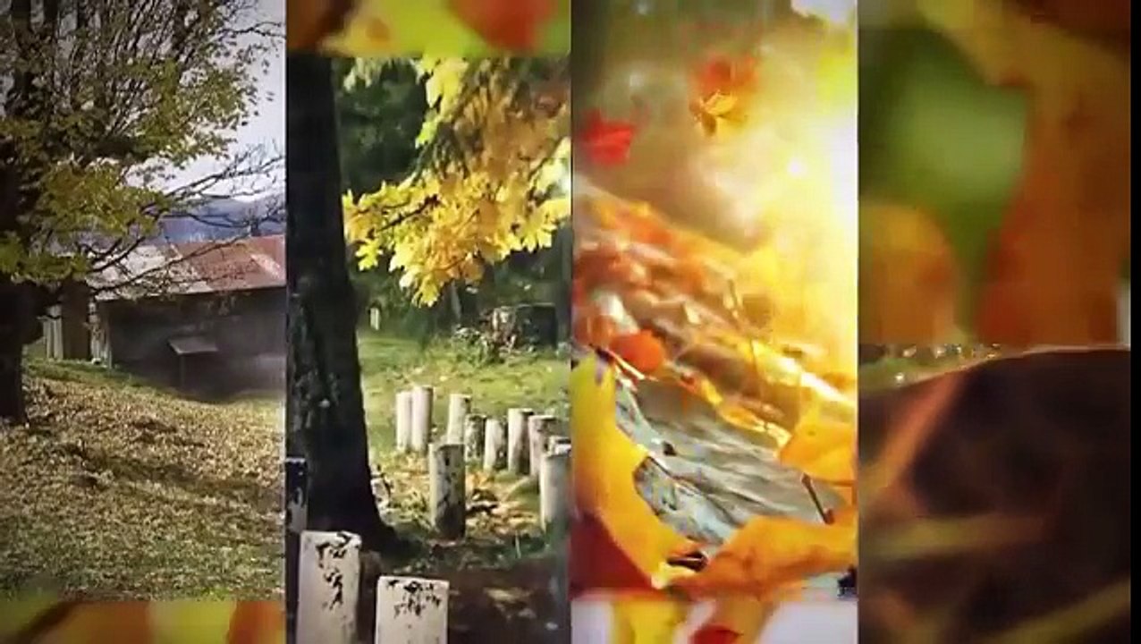 مذيعة الطقس الجزائرية المثيرة التي عشقها الشباب بسبب جمالها وحركاتها على الشاشة .
