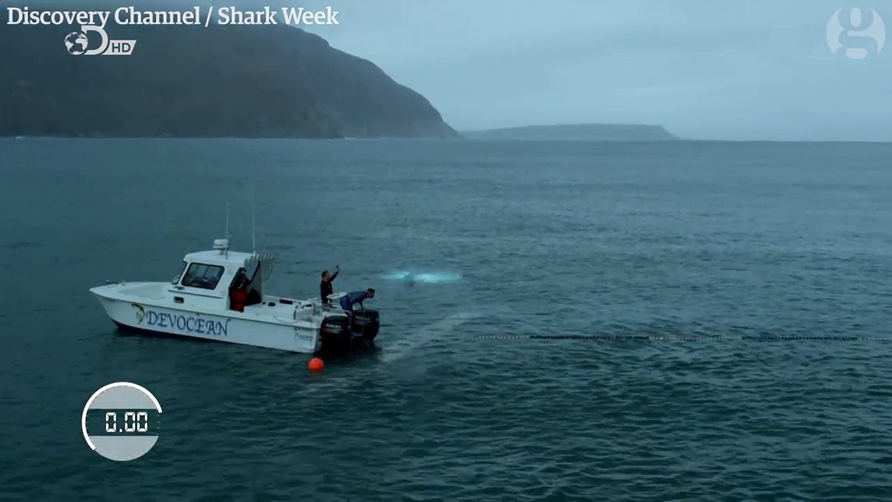 Michael Phelps races a great white shark (sort of)