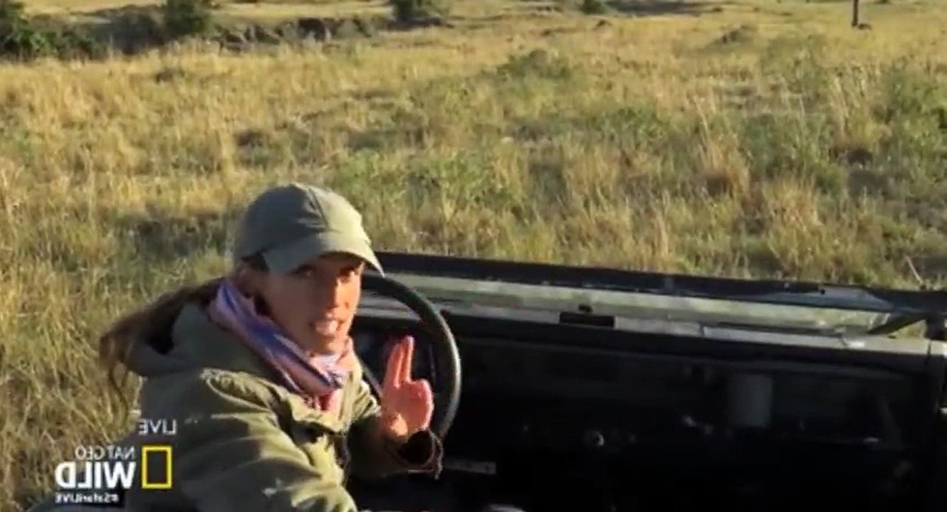 Safari Live Migration S01  E08 S 1, E 8 - Part 03
