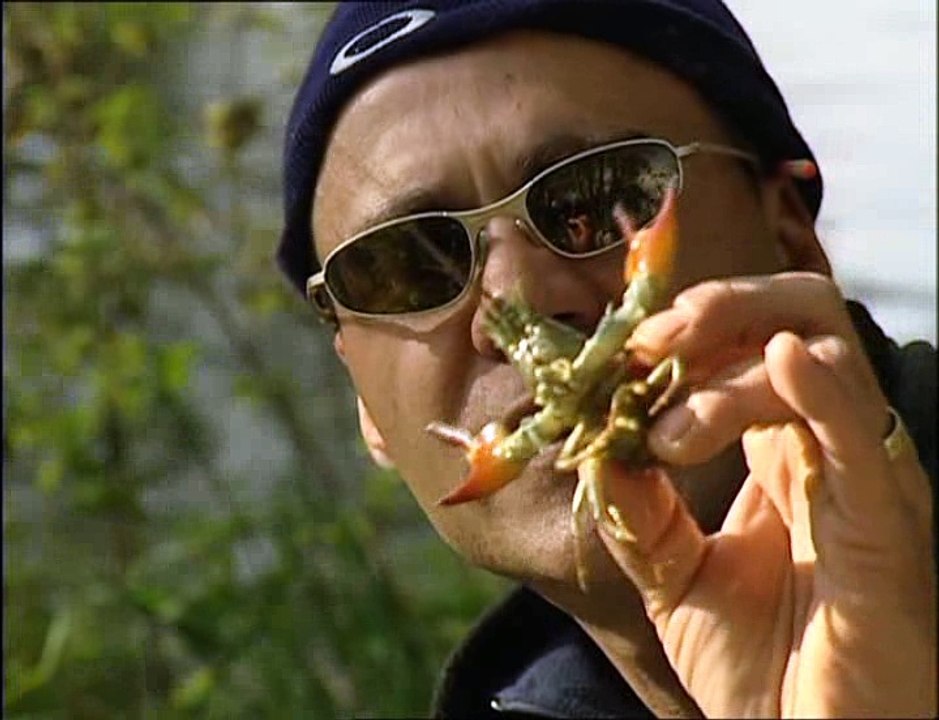 the great rod race chub barbel grayling part.1 (2004)