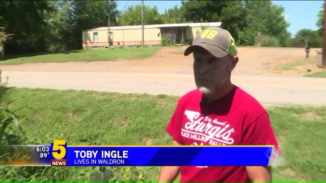 Man Shoots Stray Dog After Finding Him Chewing on Items in His Yard