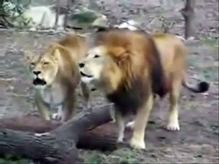 MIRACLES OF ALLAH with Malayalam subtitle part 1.flv